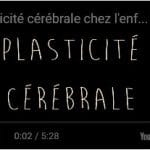 plasticite cerebrale
